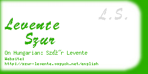 levente szur business card